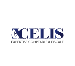 Logo partenaire : excelis